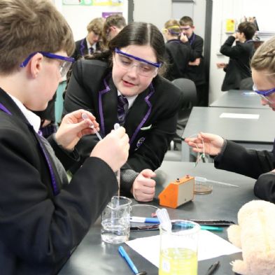 tsa_Year8Science (19)